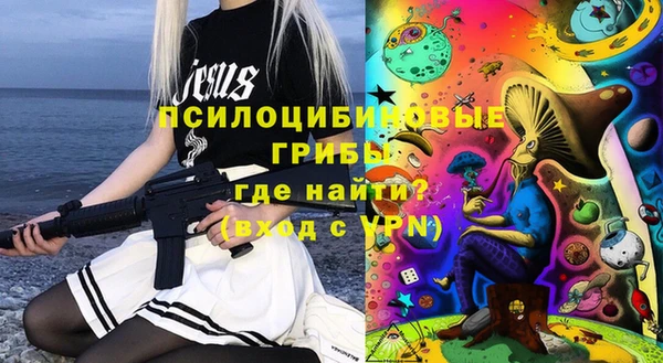 мдпв Абаза