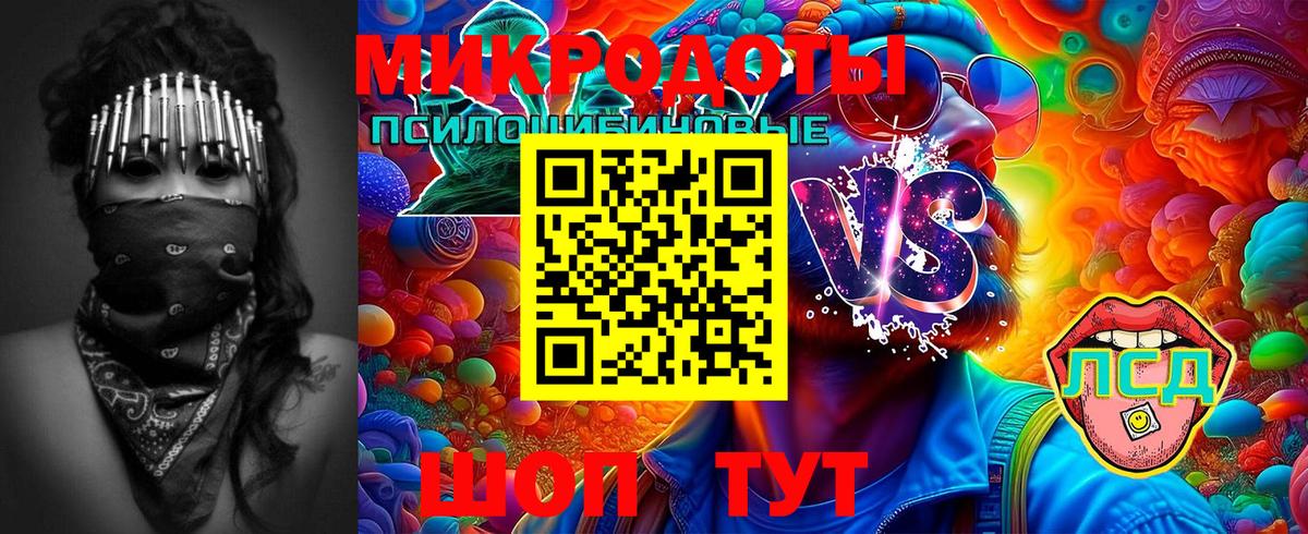 Псилоцибиновые грибы GOLDEN TEACHER  Вход с VPN  Галлюциногенные грибы Cubensis  Тутаев 